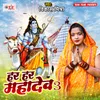 About Har Har Mahadev 3 Song